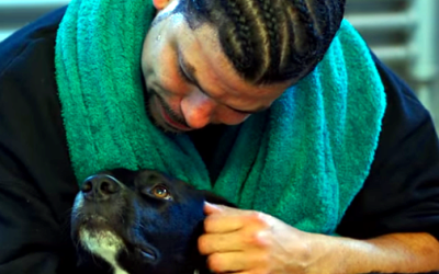 Abandoned Dogs Teach Inmates How To Care, Love, And Be Loved