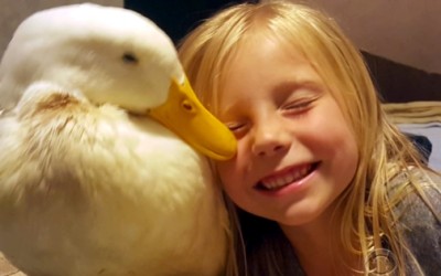 A Little Girl And Her Duck